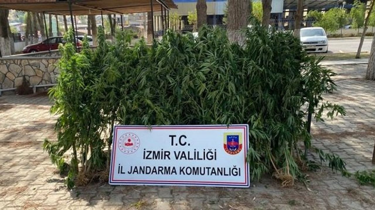 İzmir uyuşturucu operasyonu 2022 Bergama Çeşme Dikili Menderes Ödemiş Tire Torbalı Urla