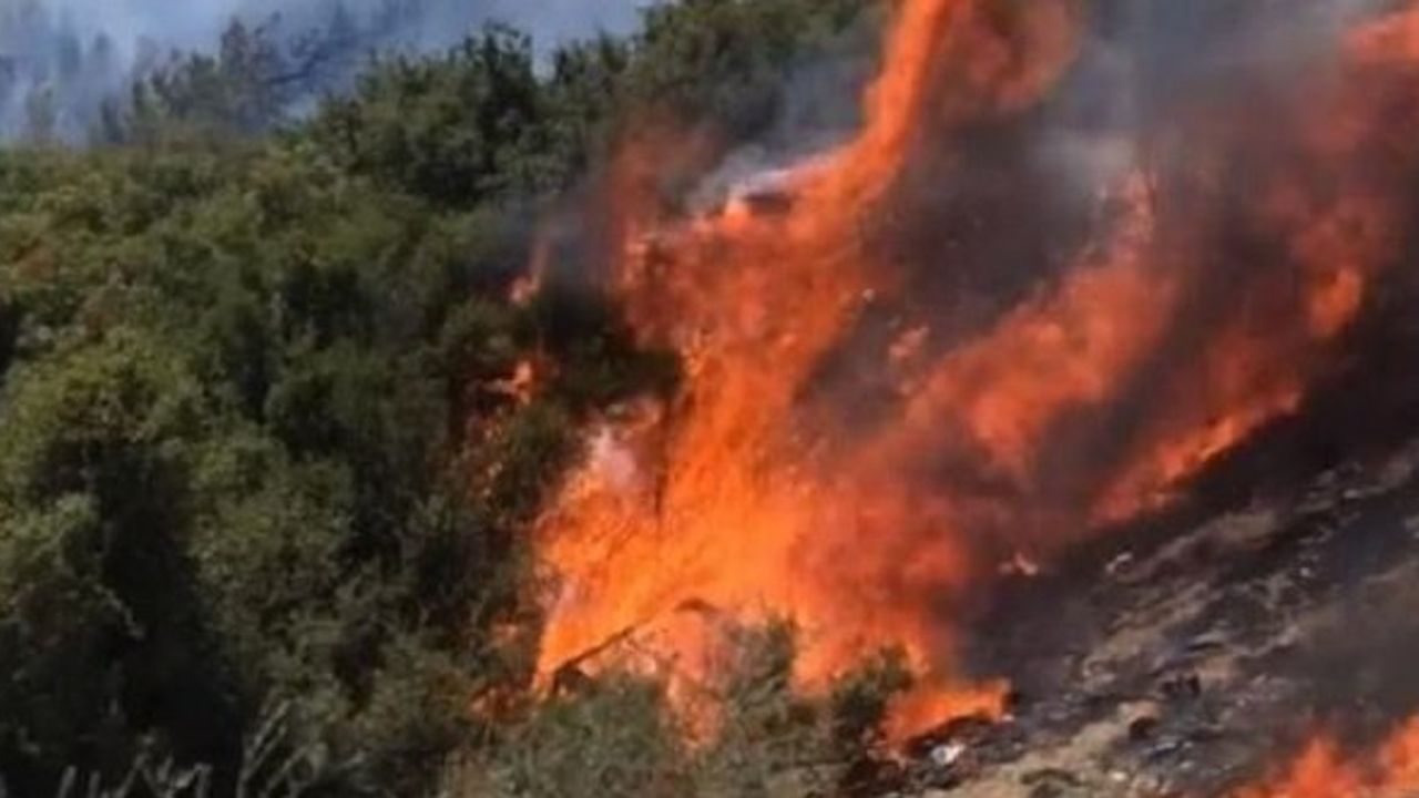 İzmir Seferihisar Beyler ve Doğanbey orman yangını son dakika son durum