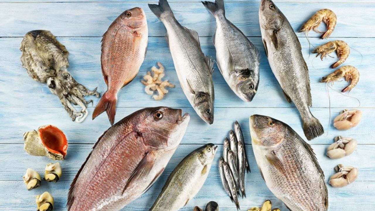 Ege Bölgesi balık ve su ürünleri ihracatı 11 ayda 1 milyar dolar