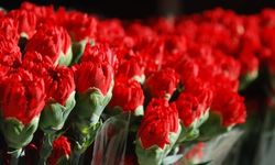 14 Şubat Sevgililer Günü'nün gülleri yine İzmir Menderes’ten