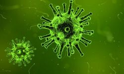 İzmir’de ilk corona virüsü vakası ortaya çıktı, Çeşme’de 1 kişi koronavirüs çıktı