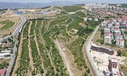 Buca Tınaztepe'ye 26,6 milyonluk İzmir Portakal Vadisi yapılacak