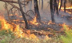 İzmir Ödemiş Bademli Mahallesi Kervan Yaylası Harlak mevkiinde orman yangını