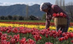 Bayındır ilçesi nerede, nereye bağlı, nüfusu, yol tarifi