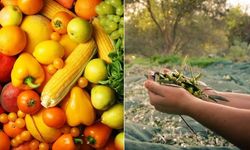Ege İhracatçı Birlikleri tarım ürünleri ihracatı Türkiye şampiyonu