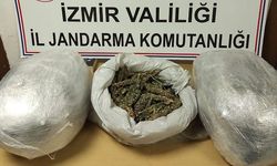 İzmir Torbalı uyuşturucu operasyonu: 13 kilo skunk ele geçirildi