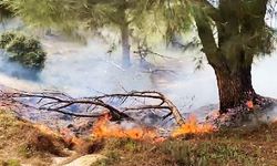 Muğla Yatağan orman yangını: Yatağan Katrancı Mahallesi Çallı orman yangını