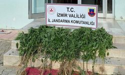 İzmir uyuşturucu operasyonu 2022 son dakika 11 ilçede operasyon