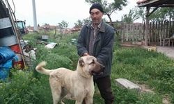 Uşak Ulubey cinayet: Arazi kavgasında Aydın Dişçi öldürüldü Hasan Dişçi yaralandı