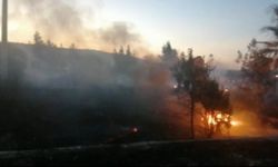 İzmir Aliağa Çaltılıdere orman yangını şüphelisi tutuklandı