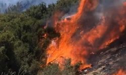 İzmir Seferihisar Beyler ve Doğanbey orman yangını son dakika son durum