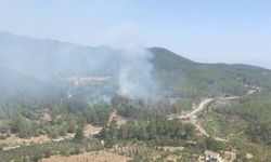 İzmir Seferihisar Orhanlı Yeniköy orman yangını son dakika son durum