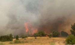 Manisa Gördes Karayağcı orman yangını son dakika son durum