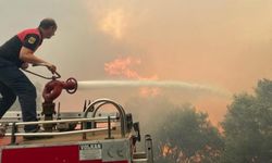 Muğla Datça Mesudiye orman yangını son durum son dakika Datça yangını neden çıktı?