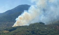İzmir Kemalpaşa Vişneli orman yangını son dakika son durum