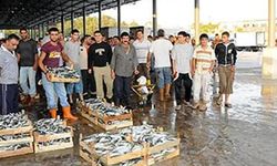 Barbun fiyatları belli oldu, İzmir halinde Barbun balığı fiyatı ne kadar?