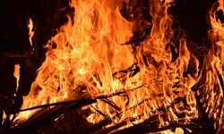 İzmir Balçova İnciraltı'nda yangın çıktı