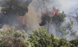 İzmir Buca'da yaşanan yangın vatandaşları korkuttu