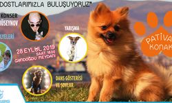 İzmir Konak Patival organizasyonu başlıyor! İşte program