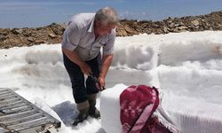 İzmir Ödemiş'te kar helvası üreticileri, 2 bin metre yükseğe tırmanıyor