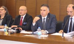 İzmir ve Ege Bölgesi 2019-2020 pamuk rekolte tahmini açıklandı