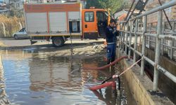 İzmir Dikili’de aşırı yağış, dere ve göleti taşırdı