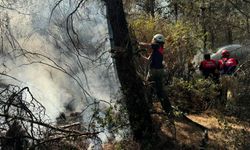 İzmir Buca Gaziemir Foça Bağarası orman yangını ve Çiğli fabrika yangınına müdahale edildi