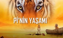 Pi’nin Yaşamı filmi konusu gerçek mi ne anlatıyor nasıl çekildi hangi kanalda oynuyor gişe hasılatı