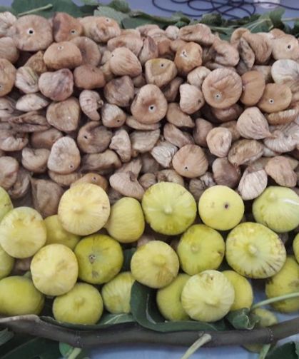 Ege Bölgesi’nde kuru incir ihracat hedefi: 300 milyon dolar