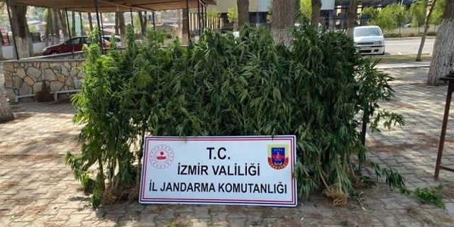 İzmir uyuşturucu operasyonu 2022 Bergama Çeşme Dikili Menderes Ödemiş Tire Torbalı Urla