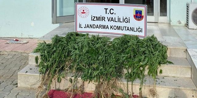 İzmir uyuşturucu operasyonu 2022 son dakika 11 ilçede operasyon
