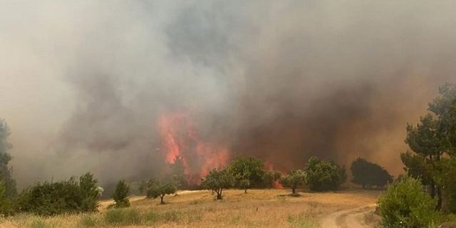 Manisa Gördes Karayağcı orman yangını son dakika son durum