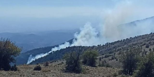 İzmir Bergama Çobanlar Köyü orman yangını kontrol altına alındı