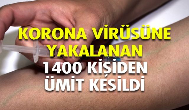 Korona virüsü nedeniyle 1400 kişiden ümit kesildi