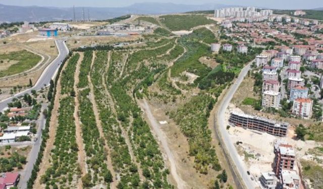 Buca Tınaztepe'ye 26,6 milyonluk İzmir Portakal Vadisi yapılacak