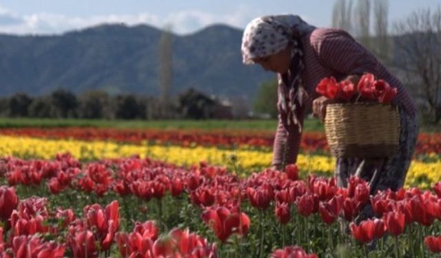 Bayındır ilçesi nerede, nereye bağlı, nüfusu, yol tarifi