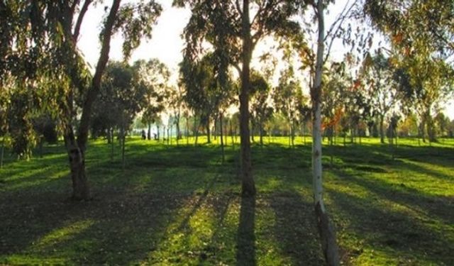 İzmir İnciraltı Kent Ormanı nasıl gidilir, giriş ücreti var mı?