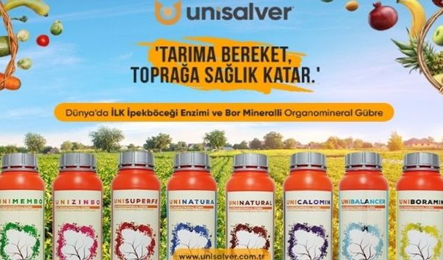 Unisalver Kimdir?