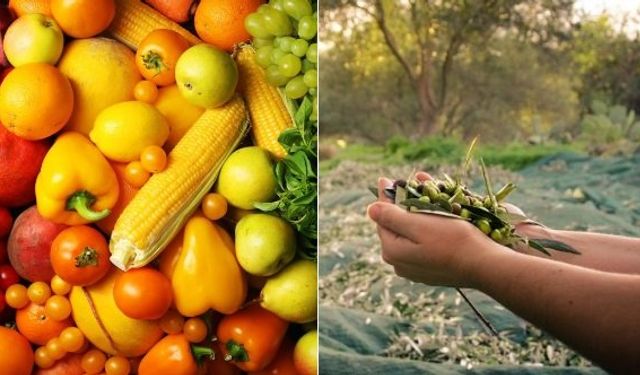 Ege İhracatçı Birlikleri tarım ürünleri ihracatı Türkiye şampiyonu