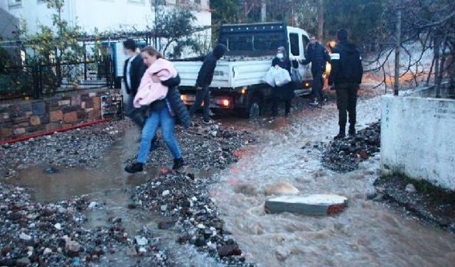 Muğla Bodrum sel felaketi 2022: evleri su bastı, sokak hayvanları boğuldu