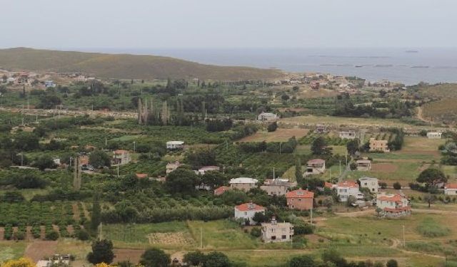 İzmir Karaburun kadın cinayeti: Küçükbahçe Mahallesi’nde Özgür K. teyzesi Naide Özçimen’i öldürdü