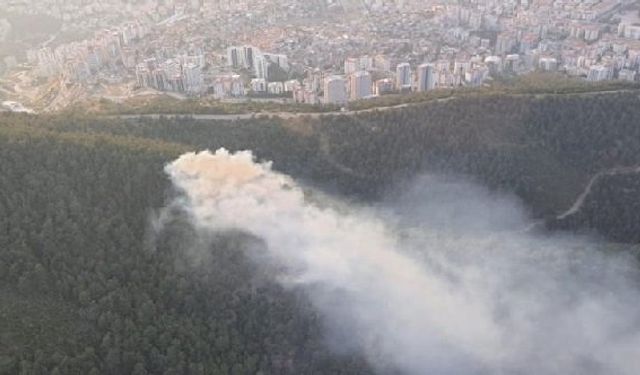 İzmir Balçova orman yangını: Balçova Teleferik’te orman yangını çıktı