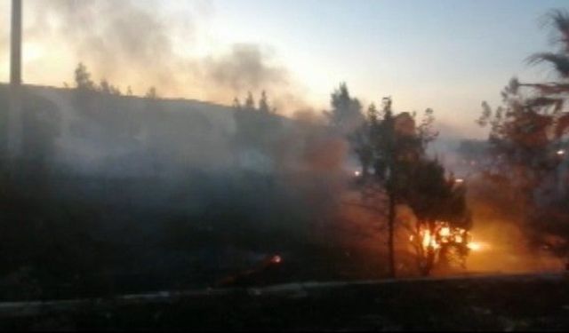 İzmir Aliağa Çaltılıdere orman yangını şüphelisi tutuklandı