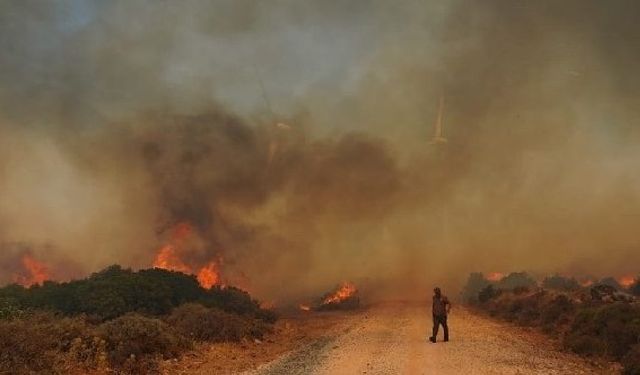 İzmir Çeşme Karaköy Karahisar orman yangını son durum Çeşme makilik yangın son dakika