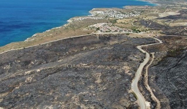 İzmir Çeşme Karaköy Ovacık orman makilik yangını son dakika son durum