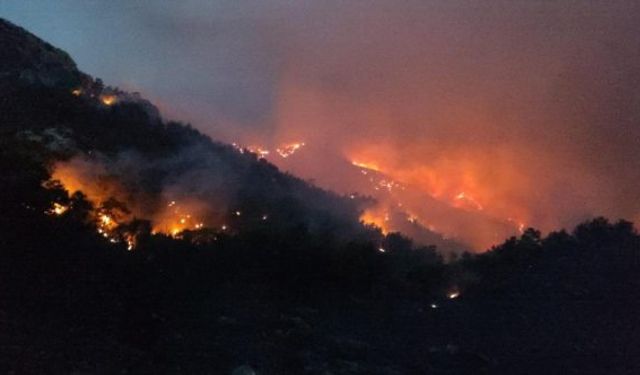 Muğla Datça orman yangını son durum son dakika