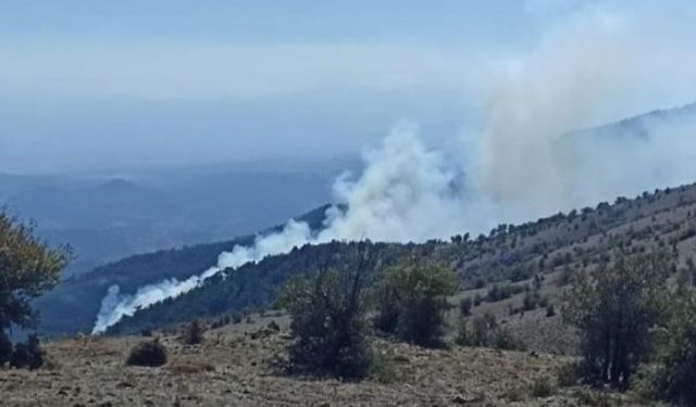 İzmir Bergama Çobanlar Köyü orman yangını kontrol altına alındı