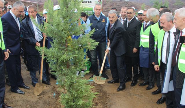 İzmir'de terör örgütünün yaktığı ormanlar yeniden hayat buluyor