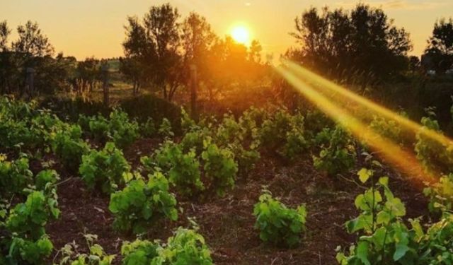 İzmir Güneşli Bahçe nerede, Sevgili Geçmiş'in çevrildiği yer ortaya çıktı