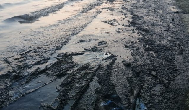 İzmir Aliağa’da deniz kirliliği, vatandaşlar tedirgin oldu